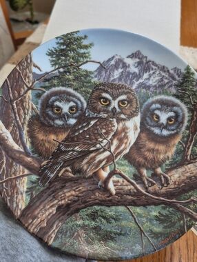 Knowles China Collectible Plate "Vast View: Saw-Whet Owls" Plate #588B-1992